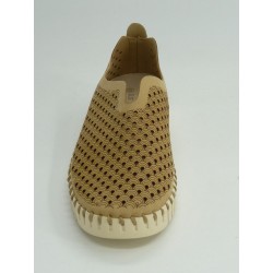 TULIP 3275