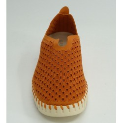 TULIP 3275